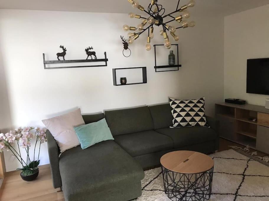 TV a/nebo společenská místnost v ubytování 2.5 Room Apartment in Center of Flims. Ski in/out