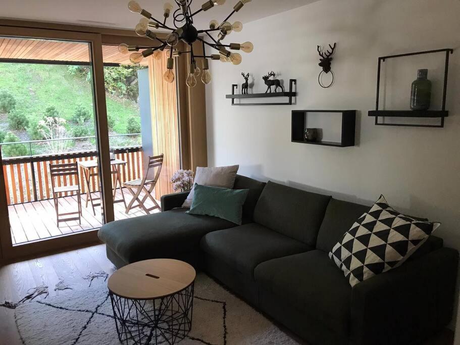 Posezení v ubytování 2.5 Room Apartment in Center of Flims. Ski in/out