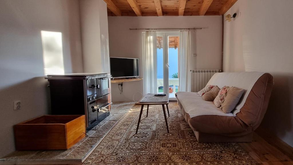 - un salon avec un canapé et une télévision dans l'établissement Jankovic Chalet, à Kolašin