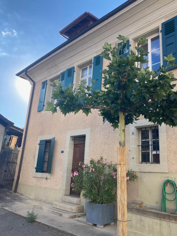 uma casa com uma árvore em frente em Charming Vinyard House - Lake Geneva em Mont-sur-Rolle