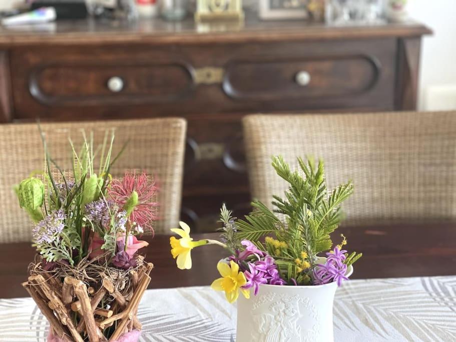 Fotografie z fotogalerie ubytování Casa Fumica Apartment v destinaci Palit