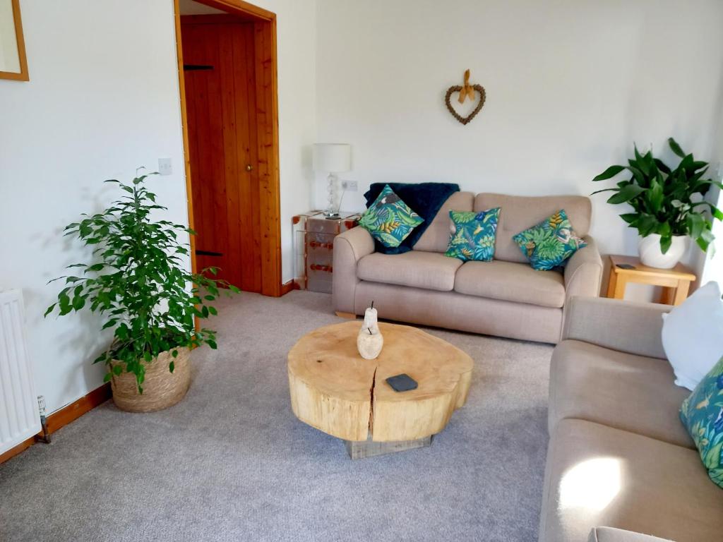 a living room with a couch and a coffee table at Irfon Cottage in Builth Wells