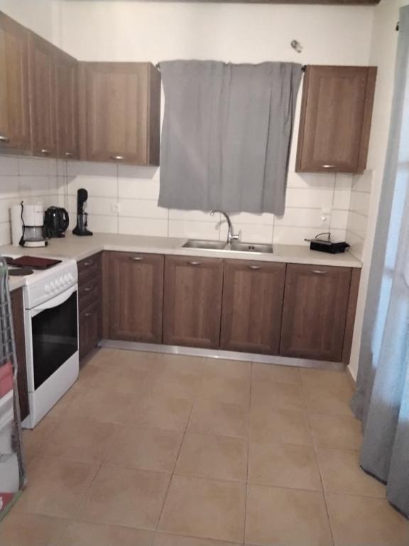 a kitchen with wooden cabinets and a sink and a stove at Hotel Posidonion in Koufonisia