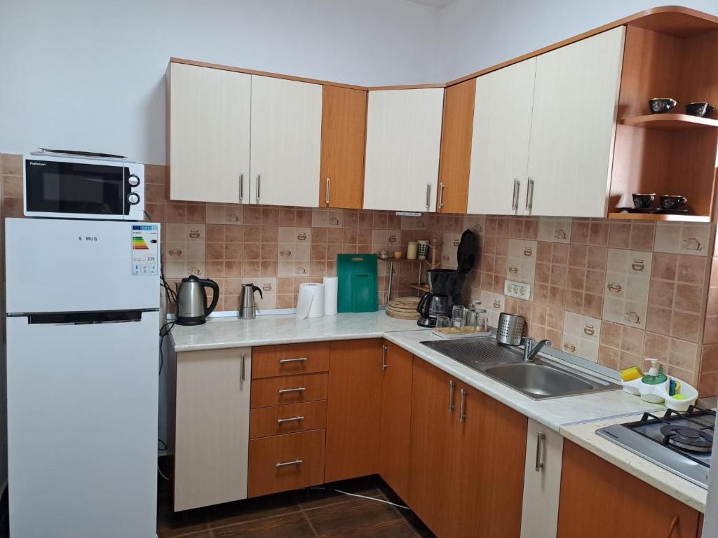 Kuchyň nebo kuchyňský kout v ubytování Casa Alex