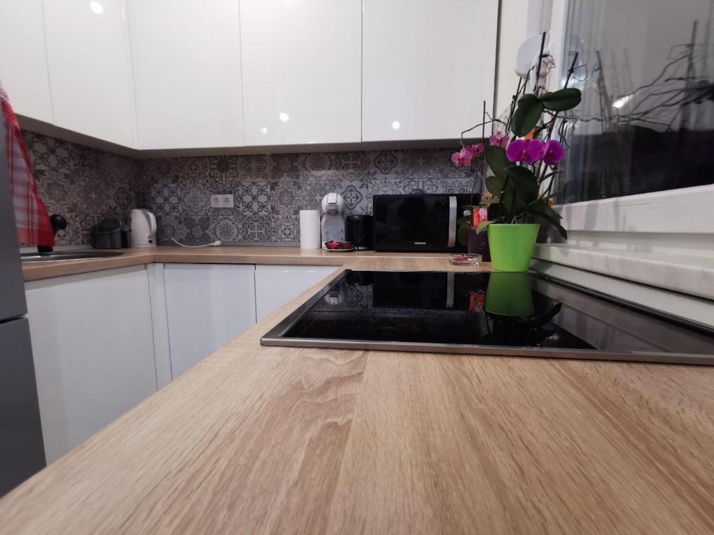 Η κουζίνα ή μικρή κουζίνα στο Apartman Vera