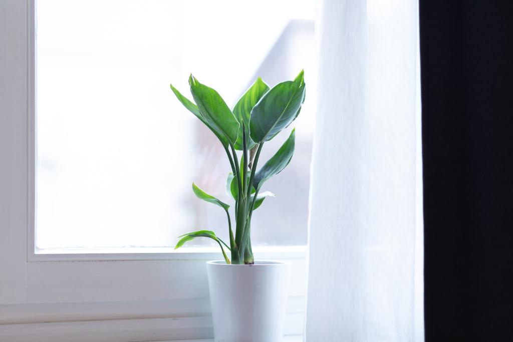Fotografie z fotogalerie ubytování Apartment 54 - Ferienwohnung Bad Arolsen v destinaci Bad Arolsen