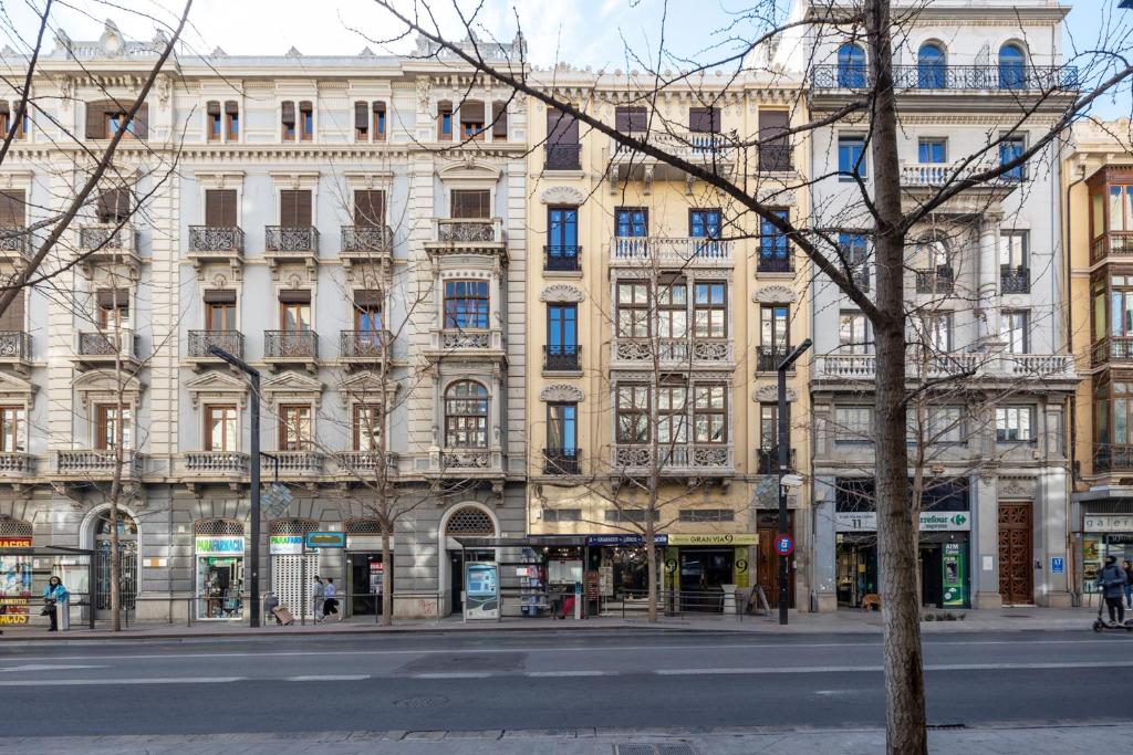 Luxury Gran Via Apartments - 19