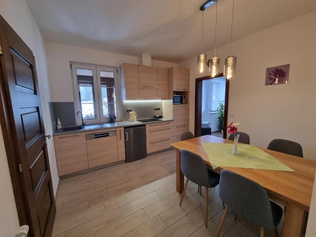 Kuchyň nebo kuchyňský kout v ubytování Apartmán U Bašty