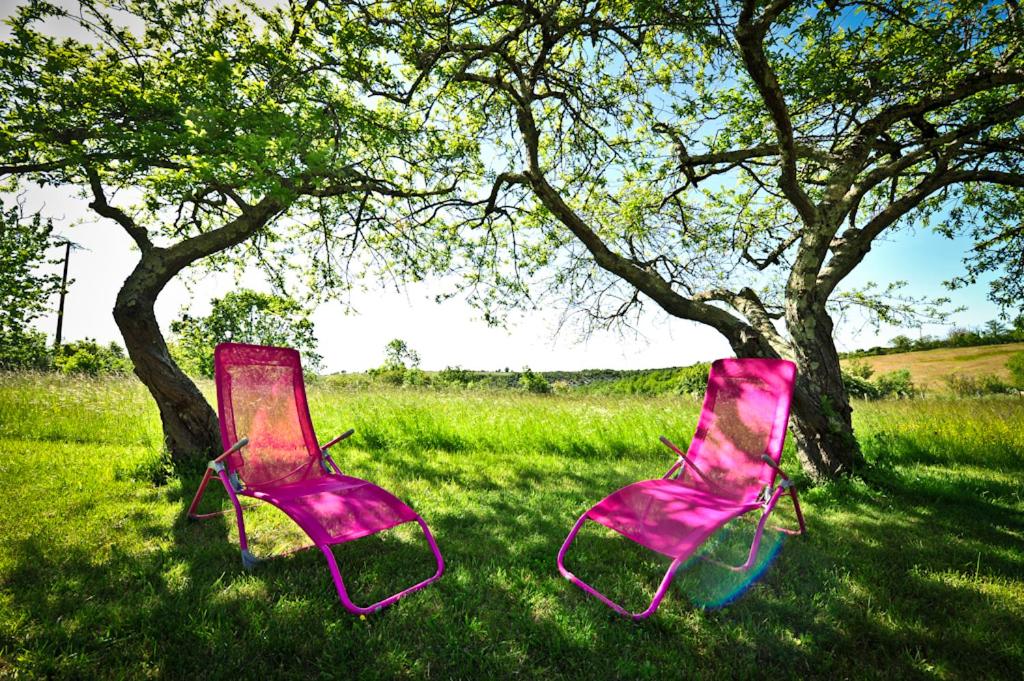 two pink chairs sitting in the grass under a tree at Domaine Lagardelle Rocamadour in Rocamadour