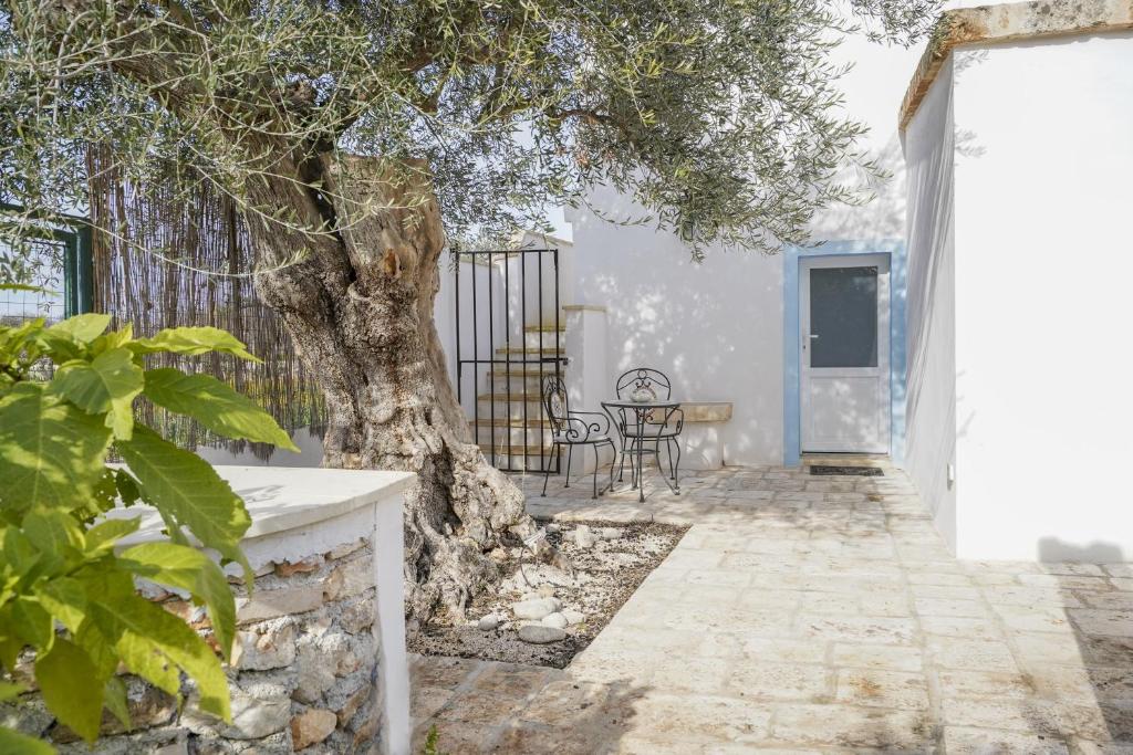 a tree in the courtyard of a house at Casina delle Rose - Scirocco in Polignano a Mare