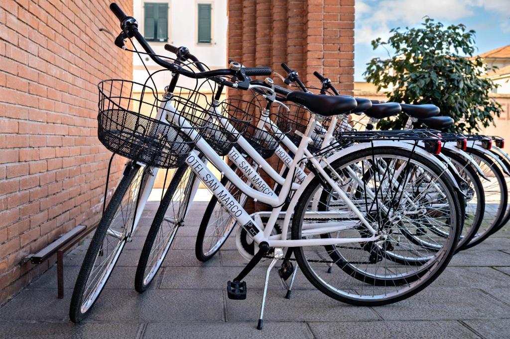 Jízda na kole v ubytování Hotel San Marco nebo okolí