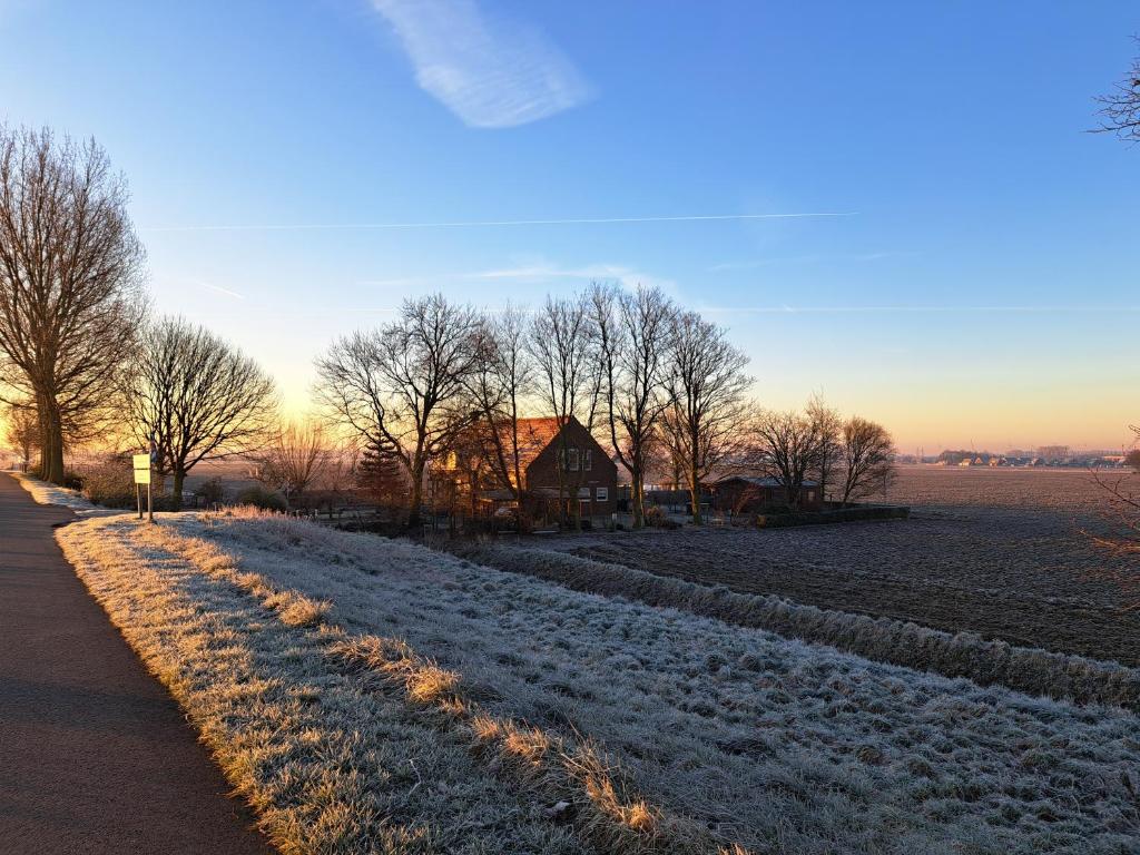 een met sneeuw bedekt veld met bomen en een huis bij Bie Oans Oefje in Lewedorp