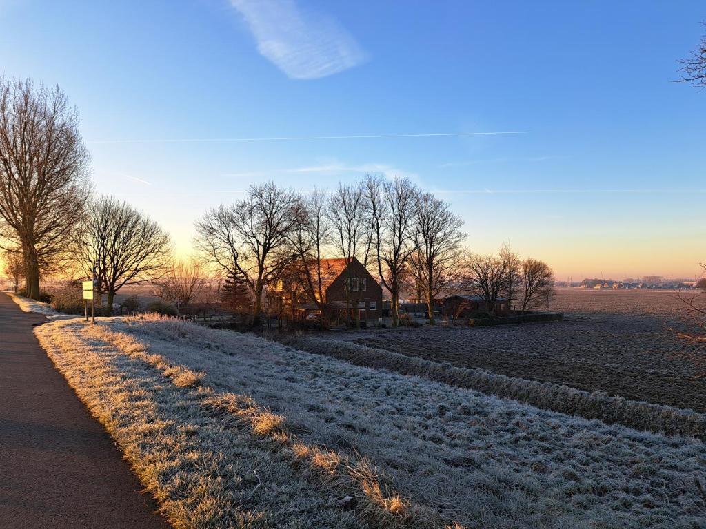 a snow covered field with trees and a house at “In Oans Oefje” Parel in de polder! in Lewedorp
