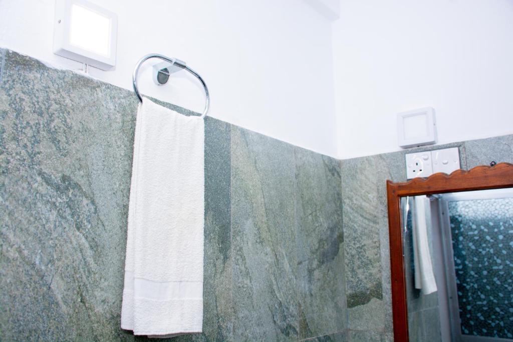 Turtle Paradise - 13