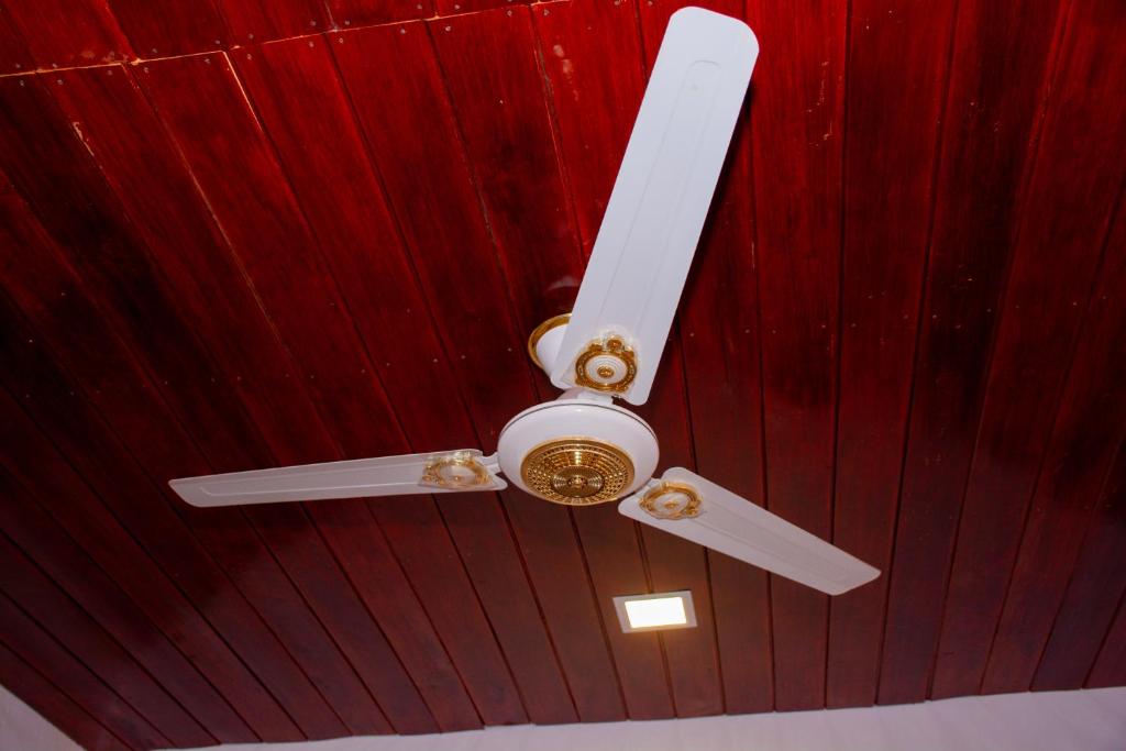 Turtle Paradise - 16