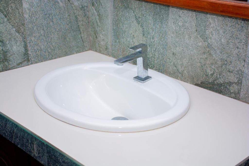 Turtle Paradise - 17