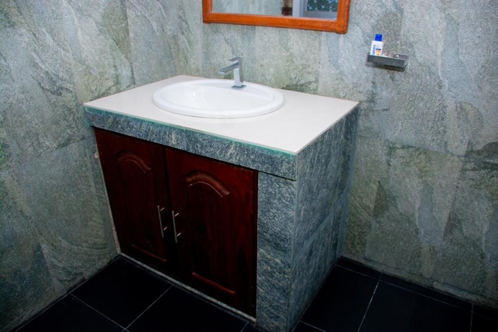 Turtle Paradise - 18