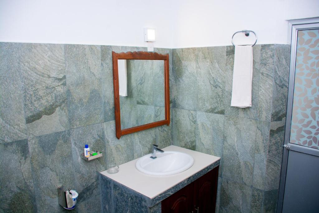 Turtle Paradise - 19