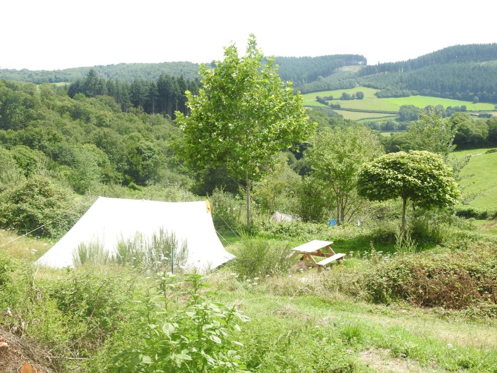 a tent in the middle of a grassy field at Camping La Forêt du Morvan in Larochemillay