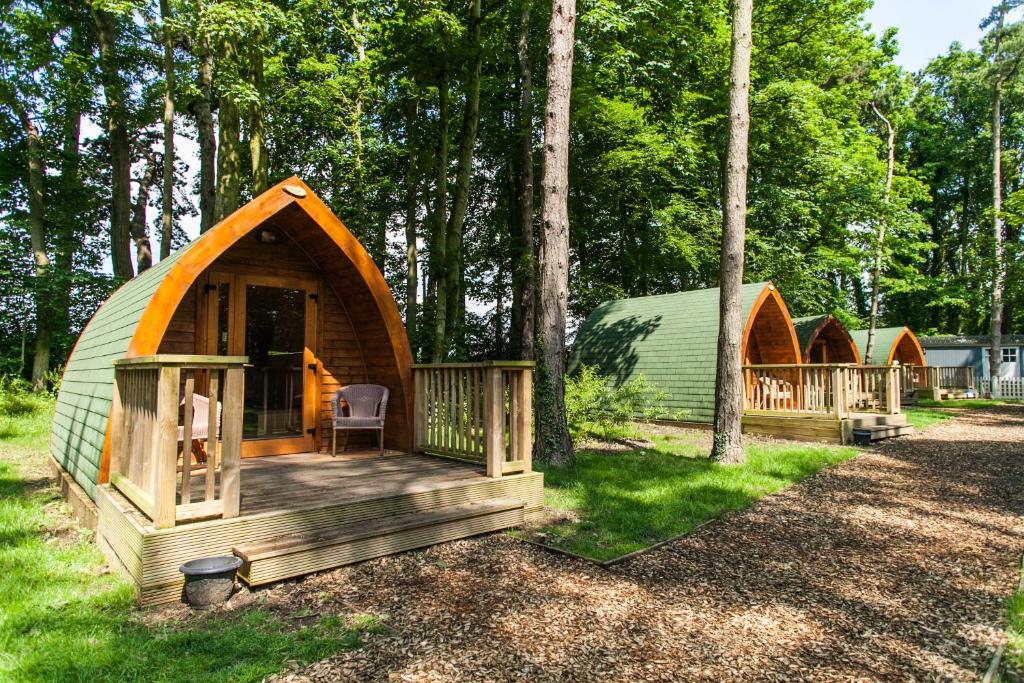 um grupo de cabanas verdes e de madeira nos bosques em Pinewood - At Port Lympne Reserve em Hythe