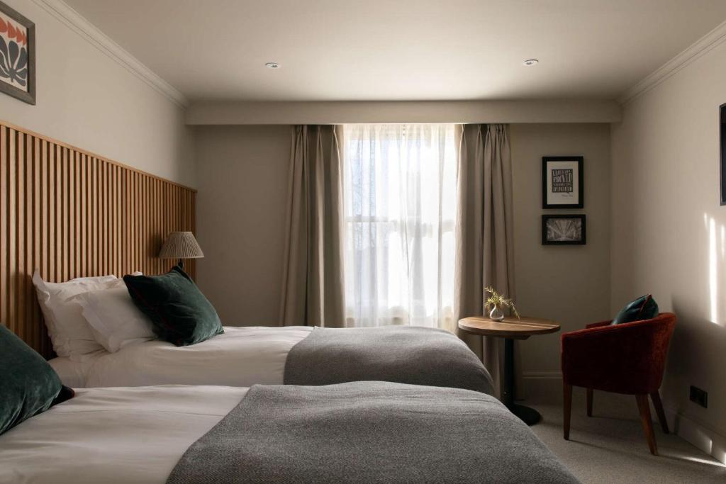 The Park Hotel - Habitación Gemela