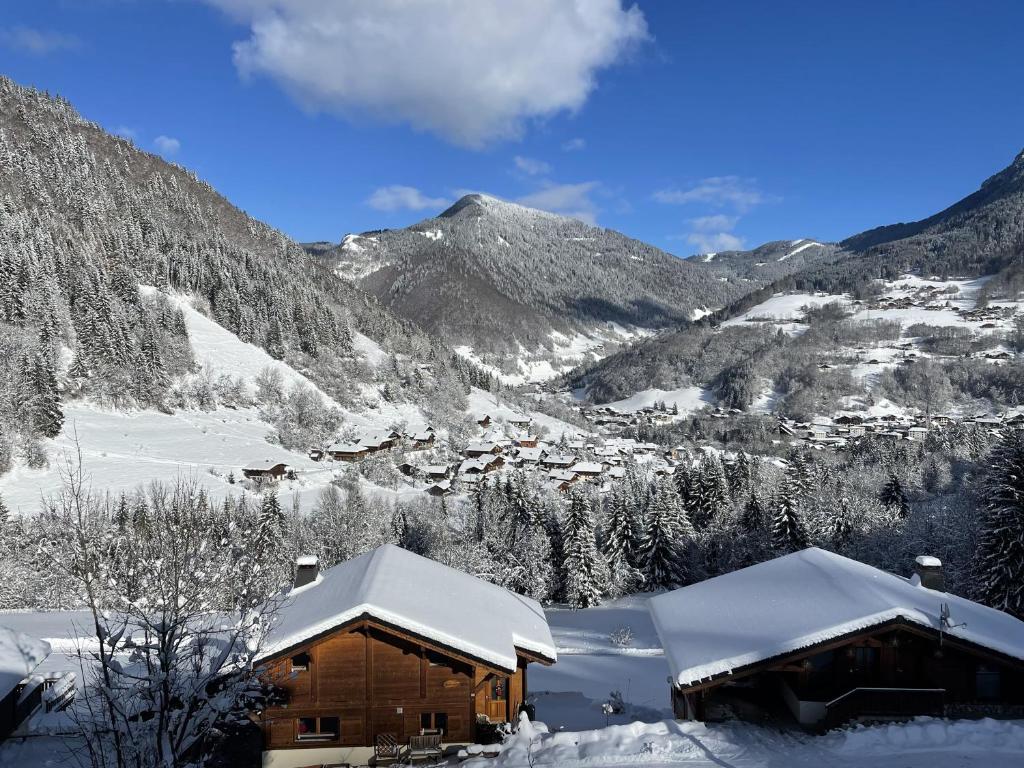 uma cabana nas montanhas cobertas de neve em Magnifique vue - Pistes 1 min - Parking possible em Saint-Jean-dʼAulps