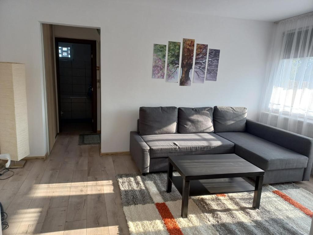 a living room with a couch and a table at City Center Flat in Odorheiu Secuiesc