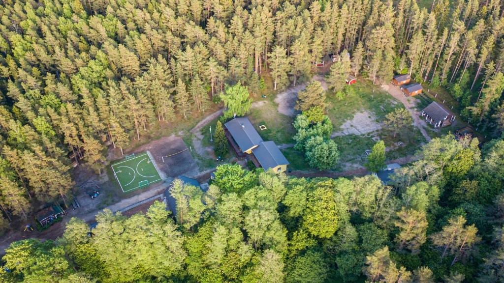 an aerial view of a house in the middle of a forest at Tammispea puhkeküla 