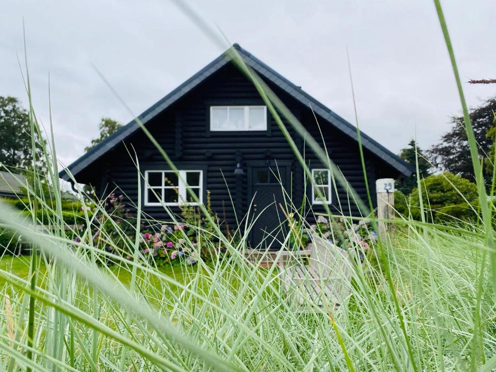 a black house in the middle of a field of grass at HAUS ZWEINEUN in Brodersby