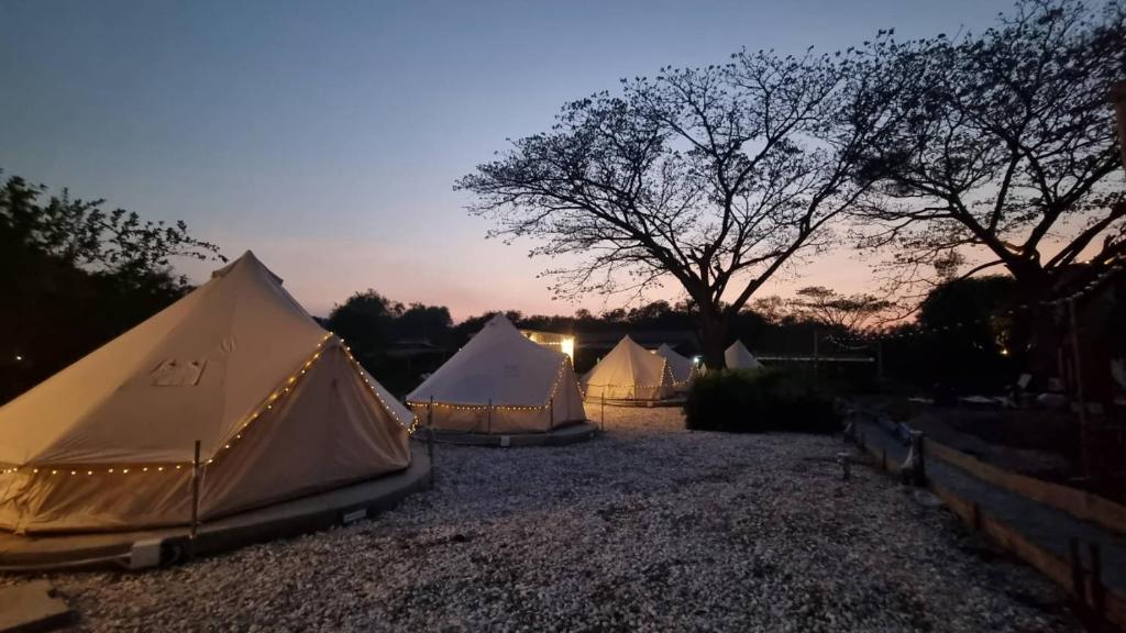Příroda nedaleko luxury tent