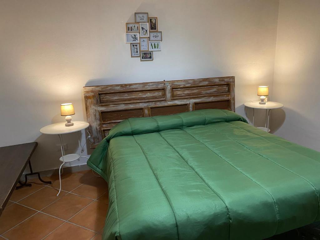 a bedroom with a green bed and two tables at Da Rosina in Palermo