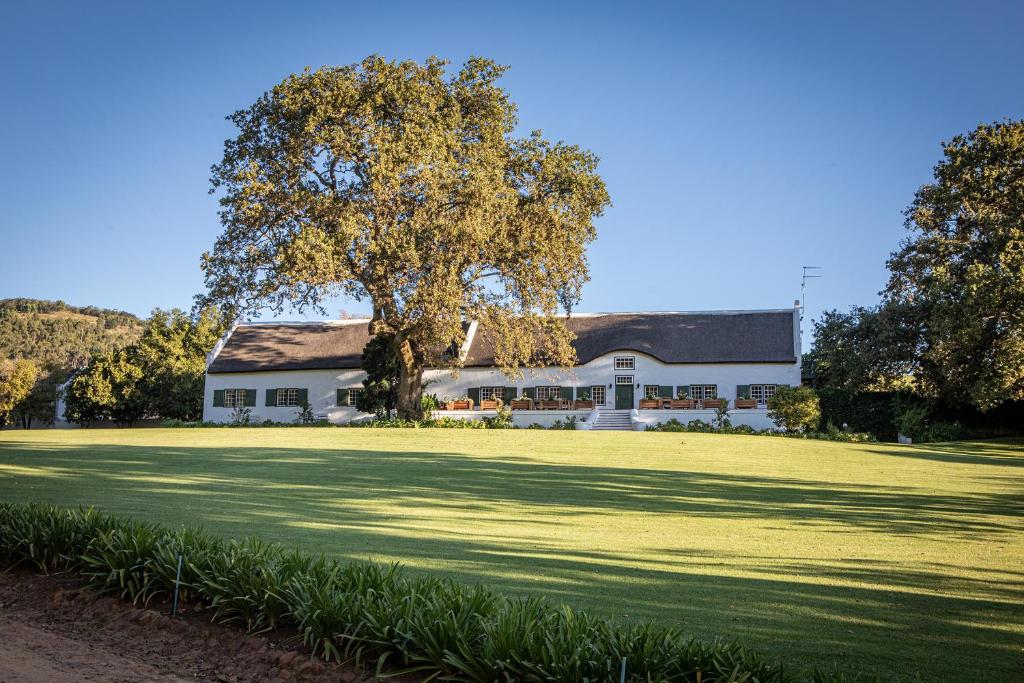 ein großes weißes Haus mit einem Baum im Hof in der Unterkunft Taaibosch Collection in Stellenbosch
