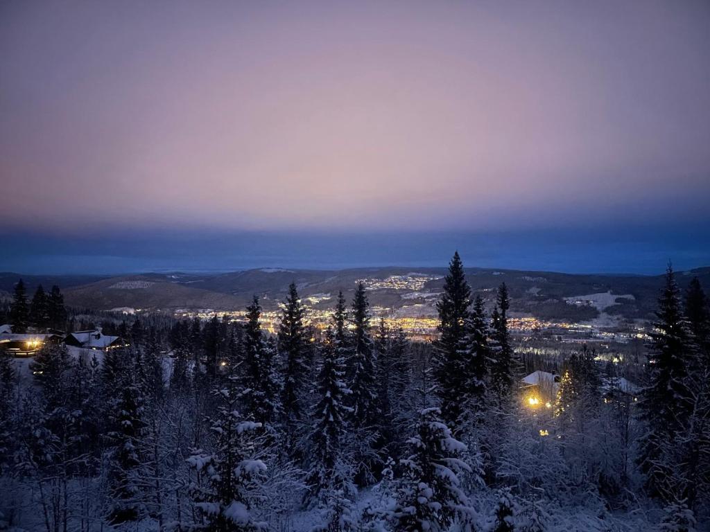 - Vistas a la ciudad por la noche, con árboles nevados en Trysil - Ski in/out, en Trysil