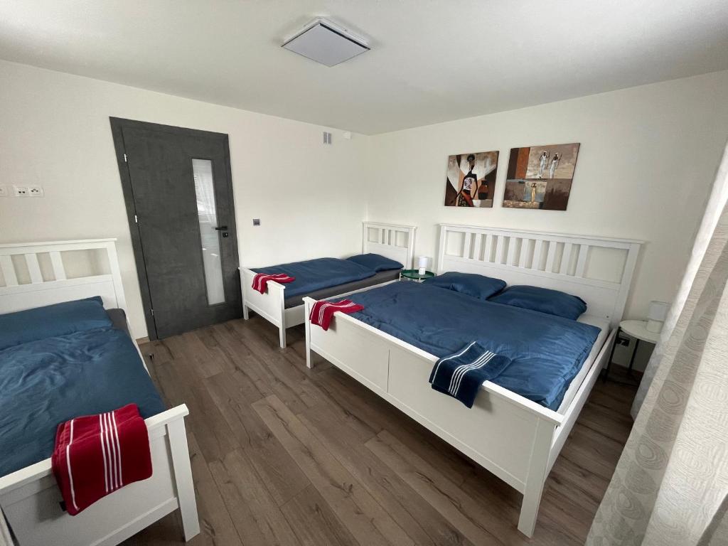 1 dormitorio con 2 camas con sábanas azules y rojas en Apartmány Prostřední, en Prostřední Bečva