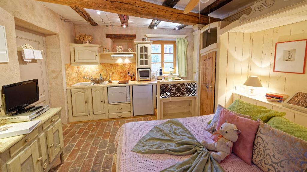 Remparts de Riquewihr - Refuge du Lutin - Studio – photo 9