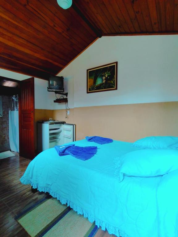 Quarto Maringá Minas في بوكاينا دي ميناس: غرفة نوم بسرير كبير مع شراشف زرقاء