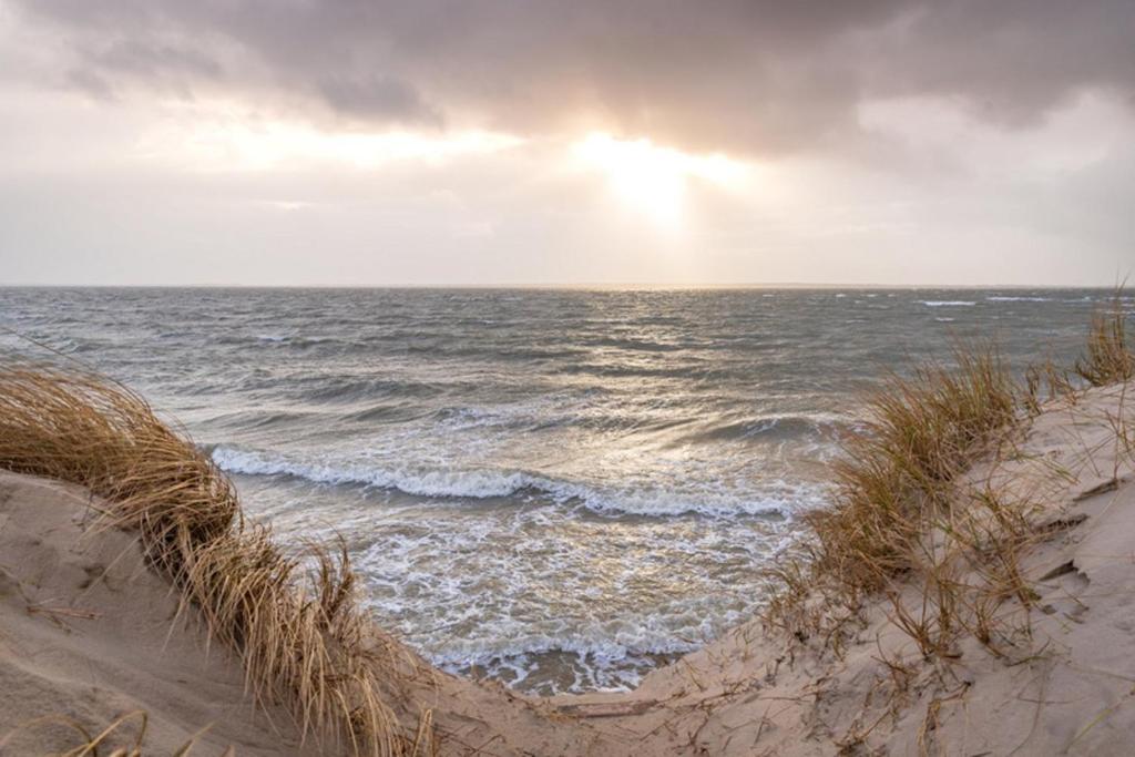 widok na ocean z piaszczystej plaży w obiekcie Lütt Nest Föhr w mieście Alkersum