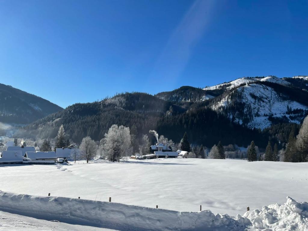 Frein Chalets - Wildalm v zime