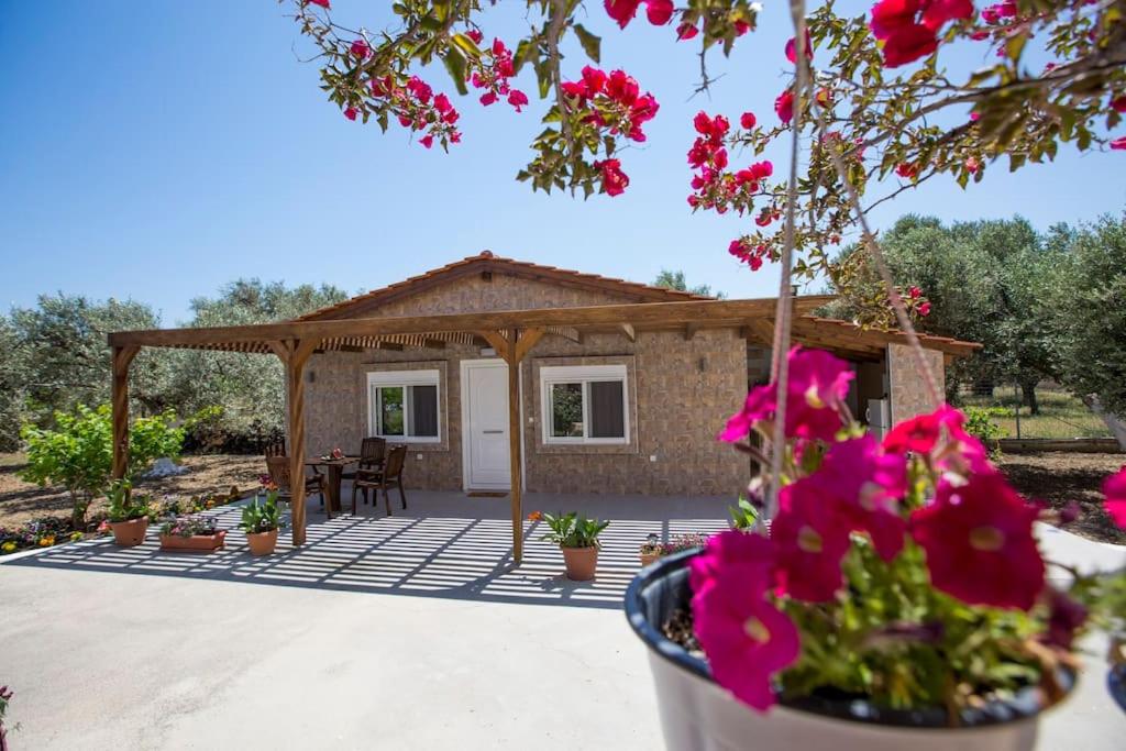 Zahrada ubytování Serenity Studio Beach Home