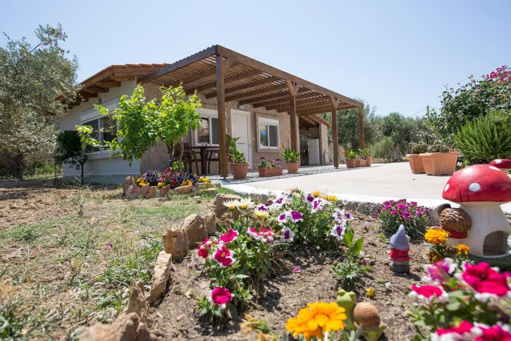 Zahrada ubytování Serenity Studio Beach Home
