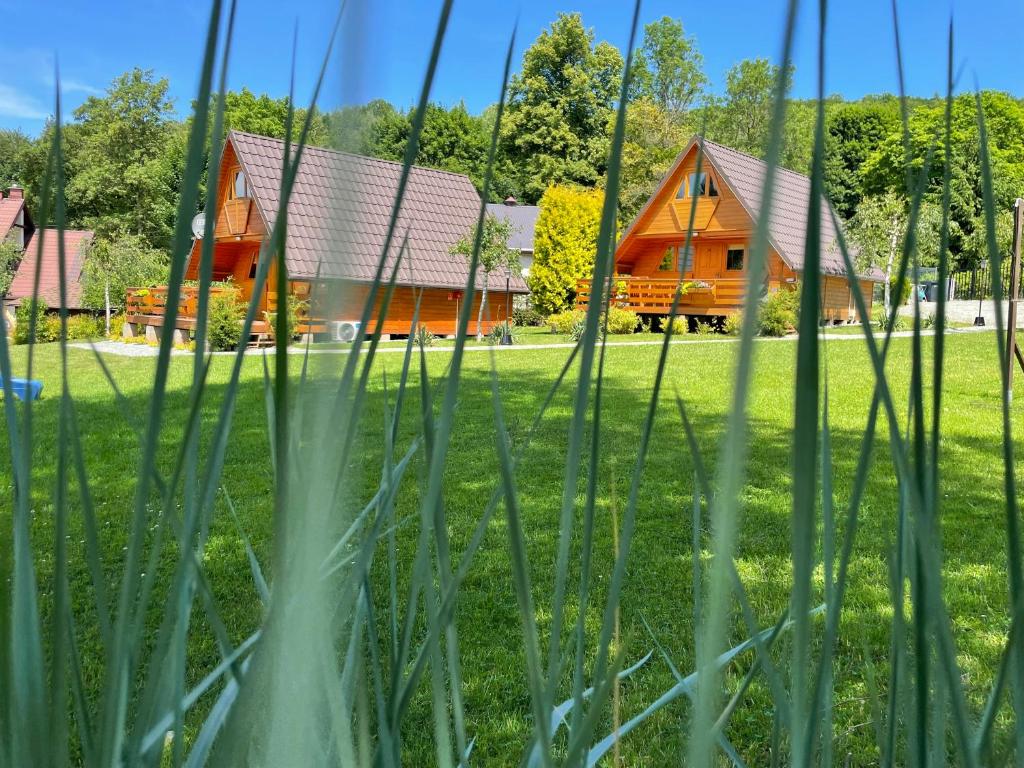 Blick auf ein Haus durch das Gras in der Unterkunft Domki u Oli in Kudowa-Zdrój