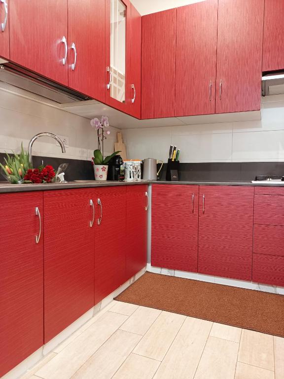 a kitchen with red cabinets and a sink at Arcobaleno Room Venezia-Mestre in Mestre