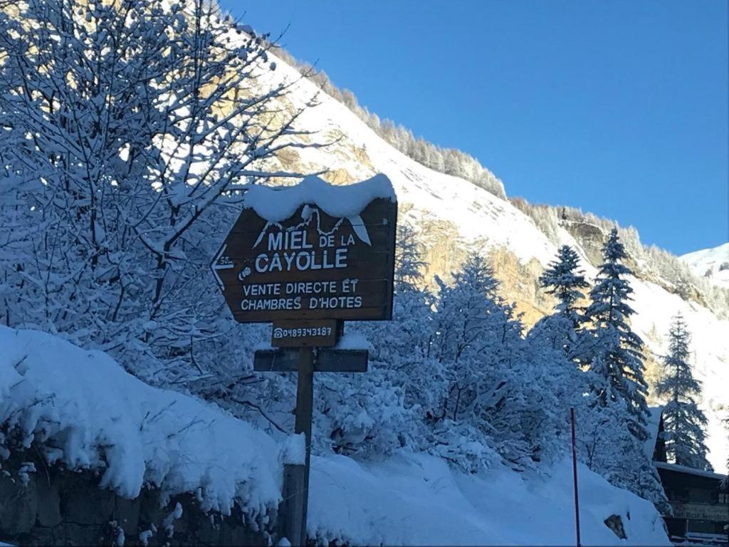 Chalet Miel de la Cayolle-Estenc - Apartamento De Una Habitación