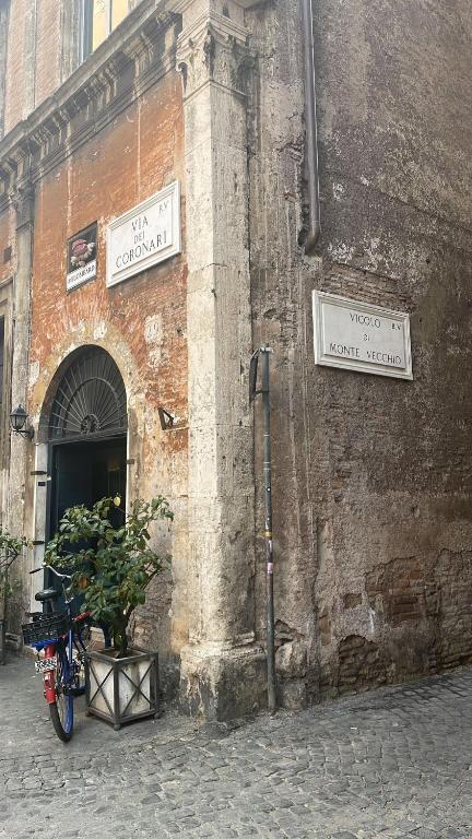 Jízda na kole v ubytování A.D. Navona Apartment nebo okolí