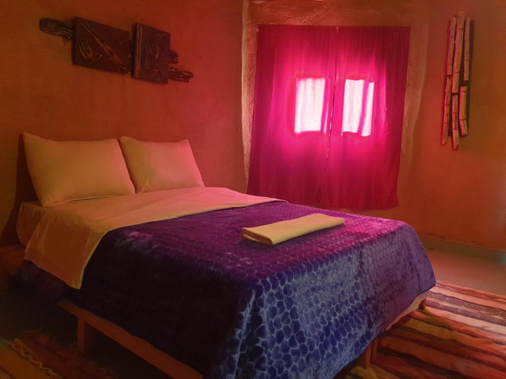 een slaapkamer met een bed met een paarse deken en een raam bij ecolodge bivouac des aigles in Ouarzazate