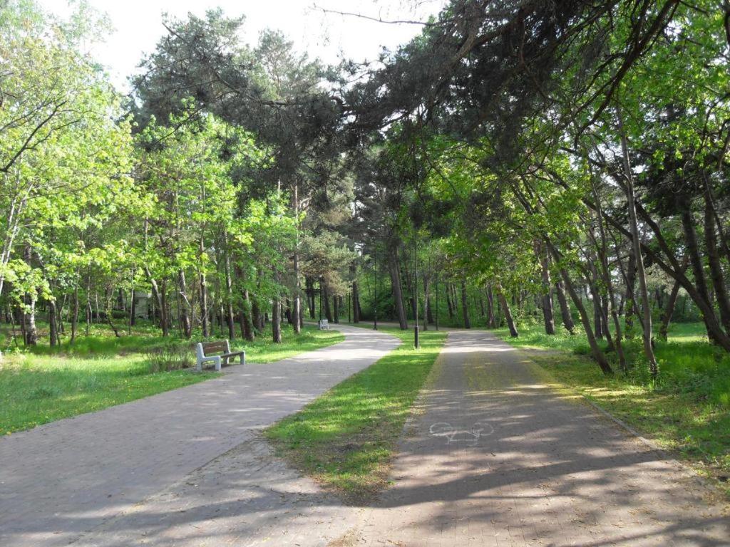 Príroda v okolí apartmánu