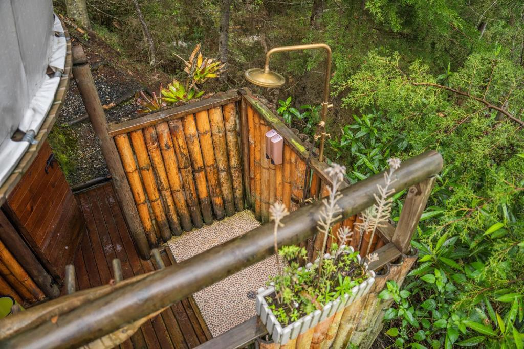 an overhead view of a wooden shed with plants at BubbleSky Glamping 40 min from Medellin in El Retiro