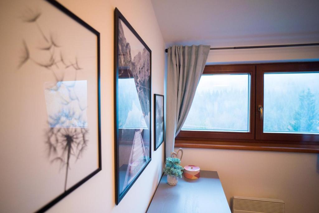 Fotografie z fotogalerie ubytování Apartmán Remedy v destinaci Loučná nad Desnou
