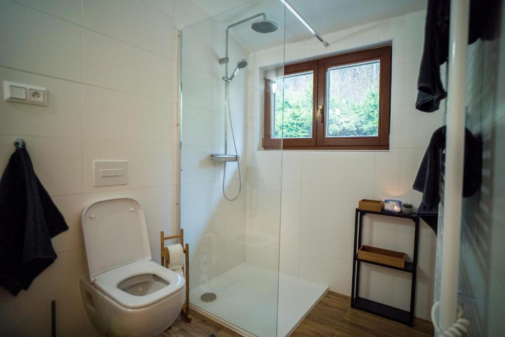 Koupelna v ubytování Apartmán Remedy