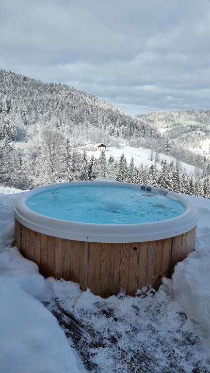Chalet Terejo & spa v zimě